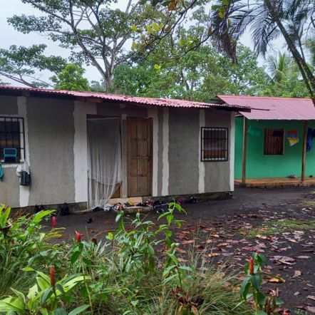 Die bunten, einstöckigen Häuser im Regenwald mit Nähe zum Meer dienen als Unterkunft für Volunteers wie Maria.