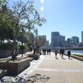 reiseorte-australien-brisbane-stadt