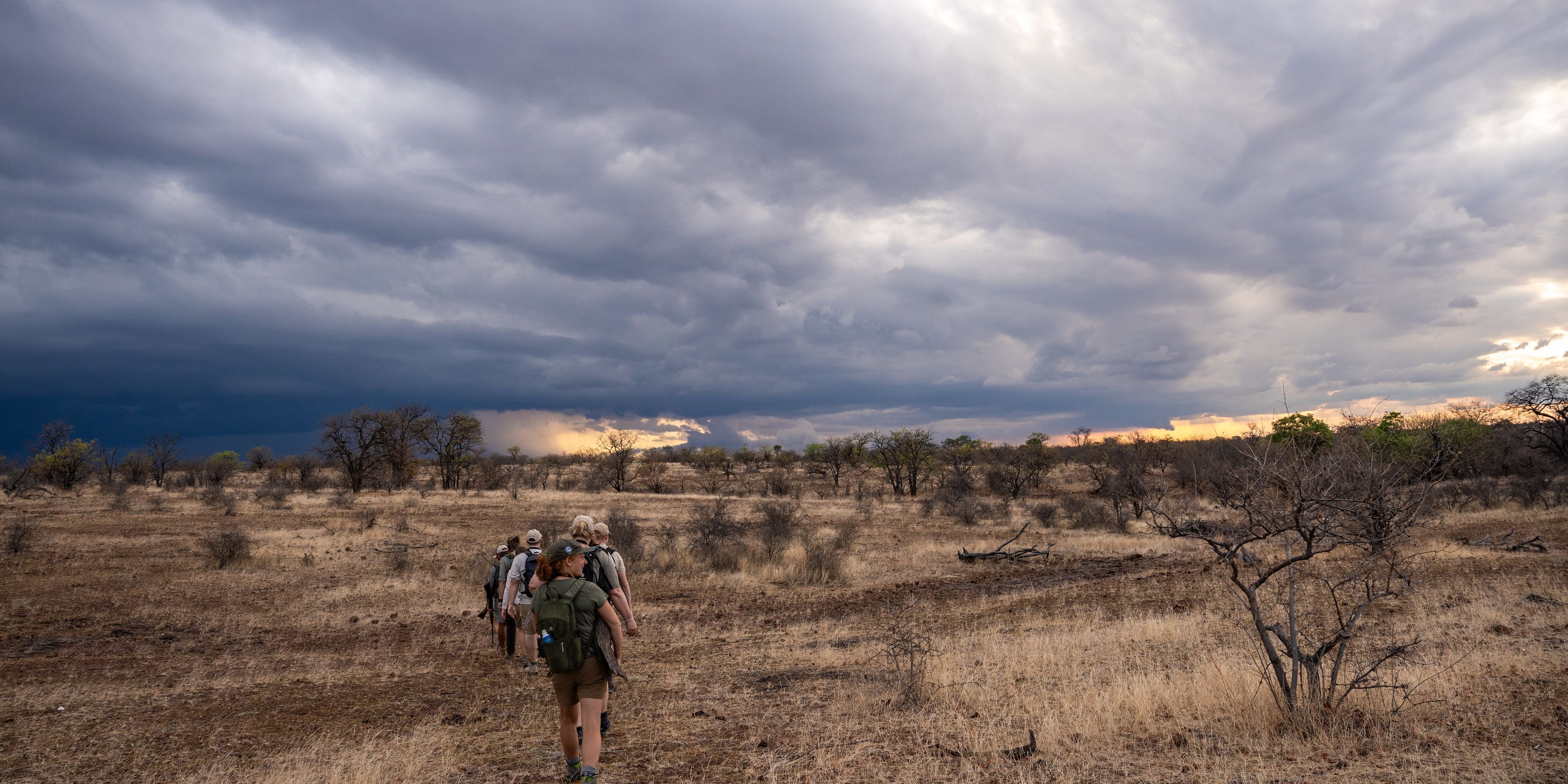 natucate-guide-course-south-africa-et-svenja-mashatu-group-walking