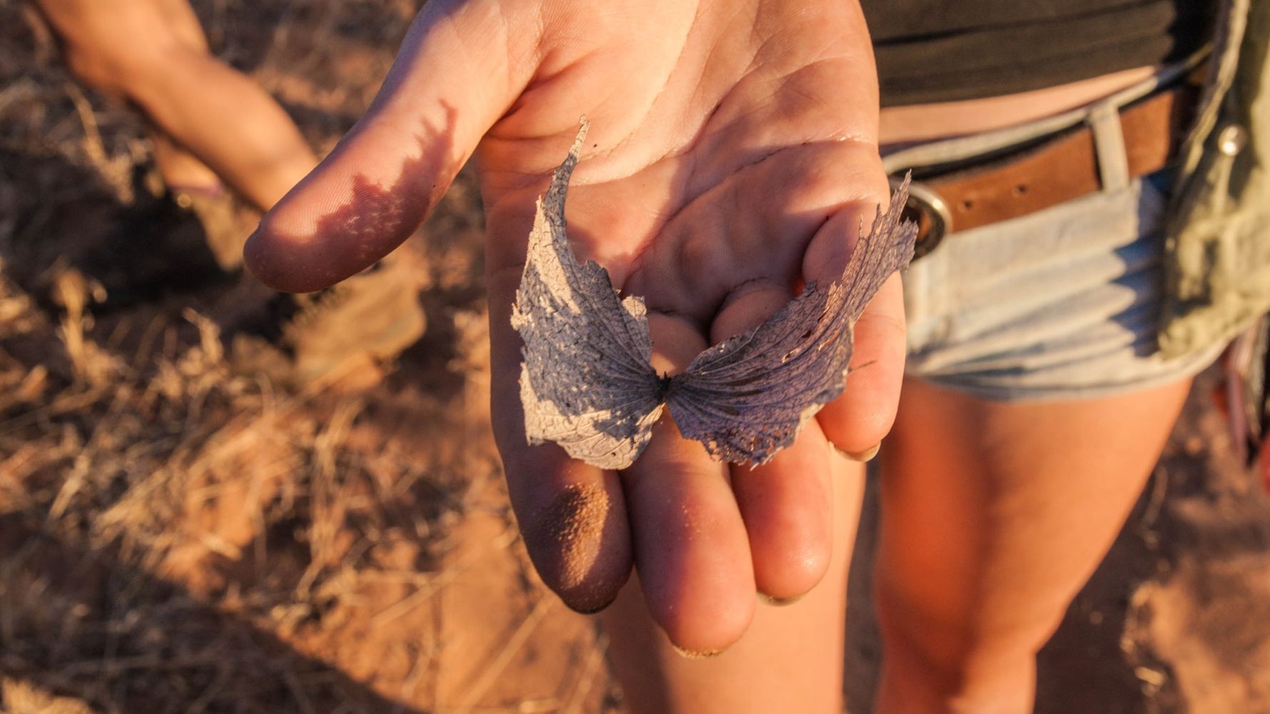 erfahrungsberichte-suedafrika-rangerausbildung-natur-natucate