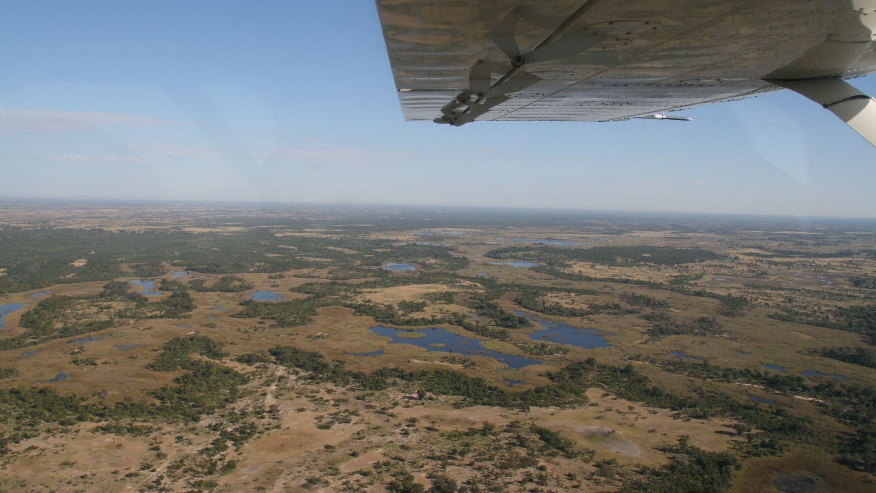Fly-in safari Africa: looking out of a charter plane onto the African savannah