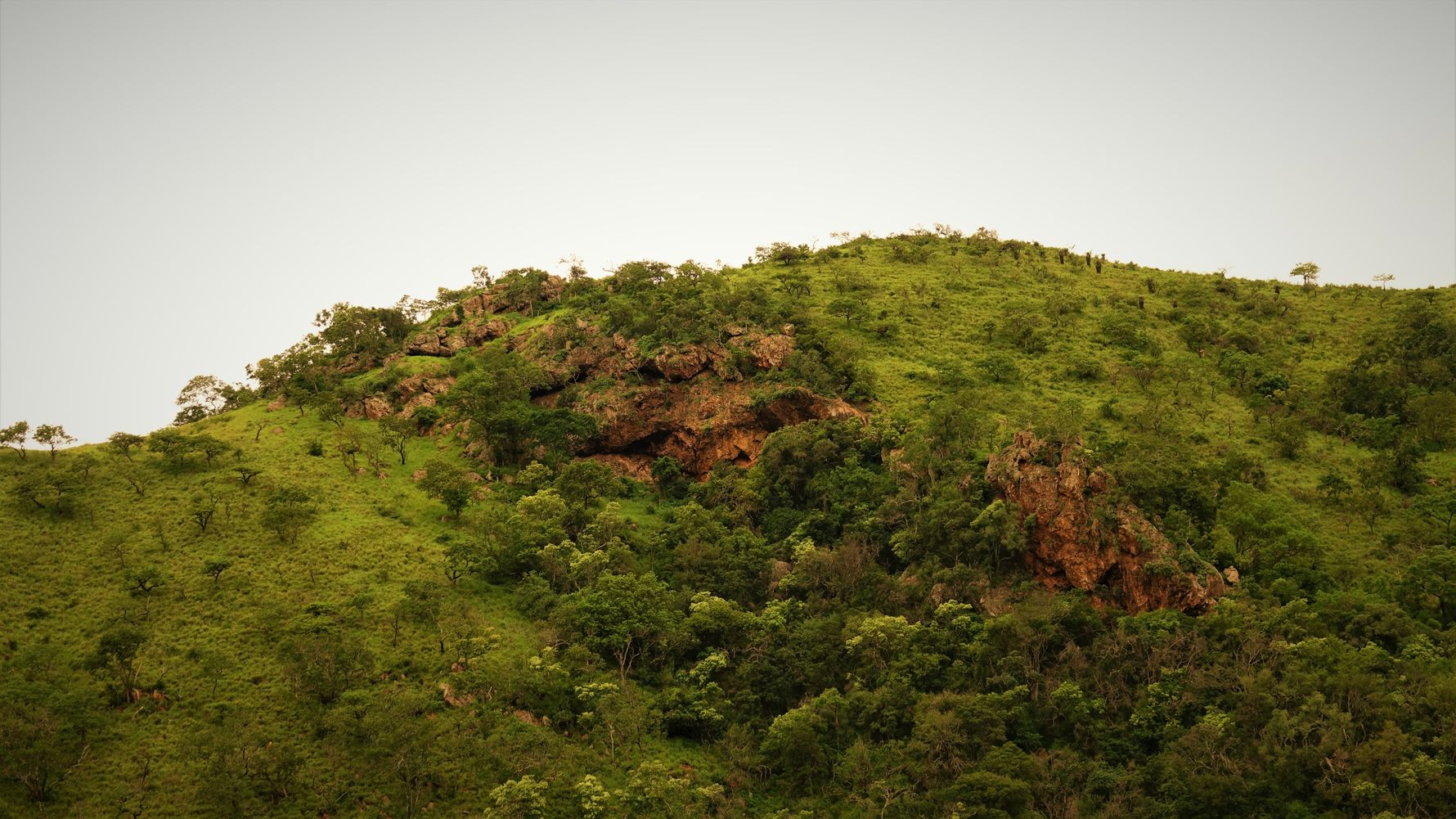 blog-ratgeber-suedafrika-kwazulu-natal-landschaft-natucate