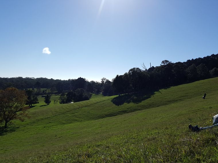 Eine Freiwillige arbeitet auf der Wiese fuer den Erhalt des Naturschutzes