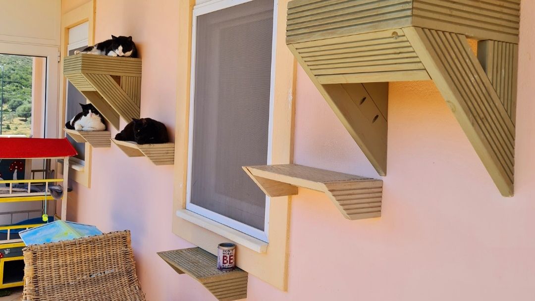 freiwilligenarbeit-griechenland-tierschutz-elli-32