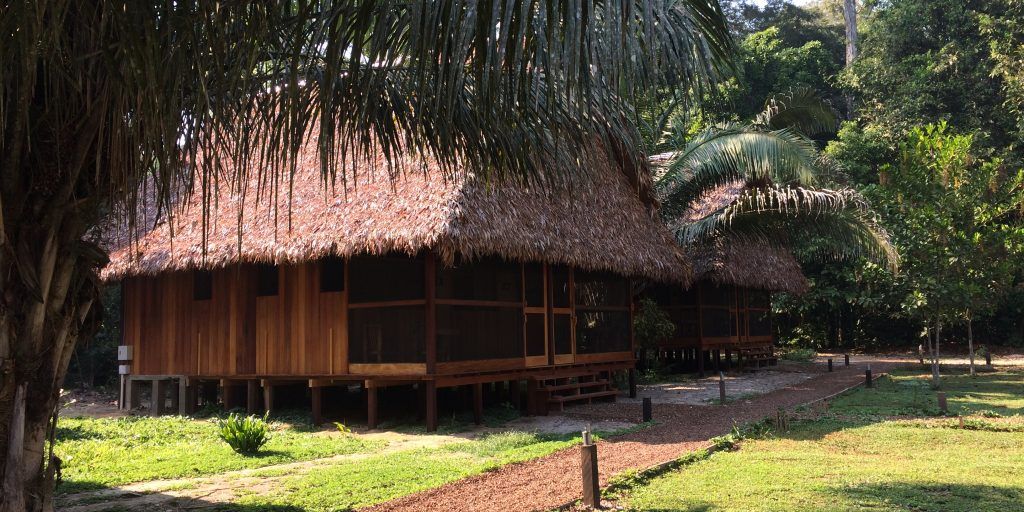 auslandspraktikum-peru-primatenforschung-forschungsstation-natucate