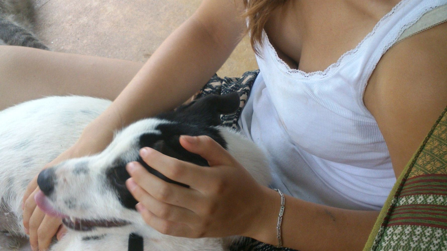 Freiwilligenarbeit: Eine freiwillige Helferin kuemmert sich um einen Hund