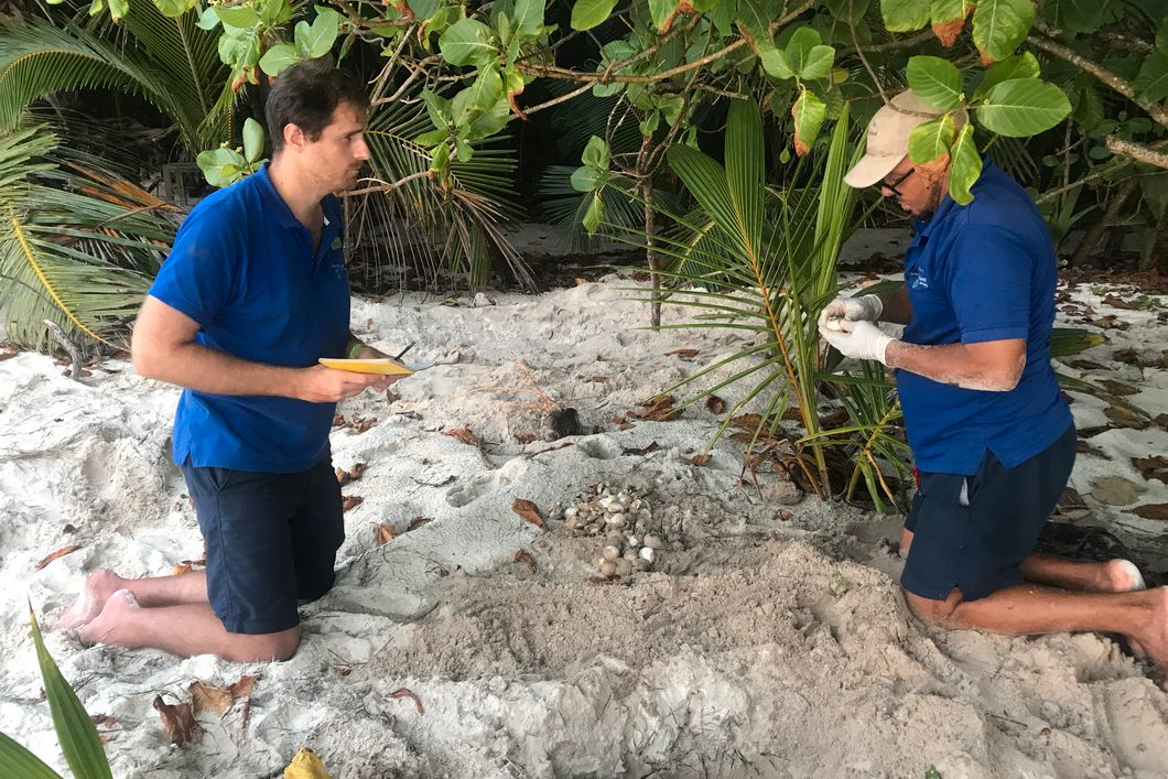 volunteering-north-island-seychelles-two-people