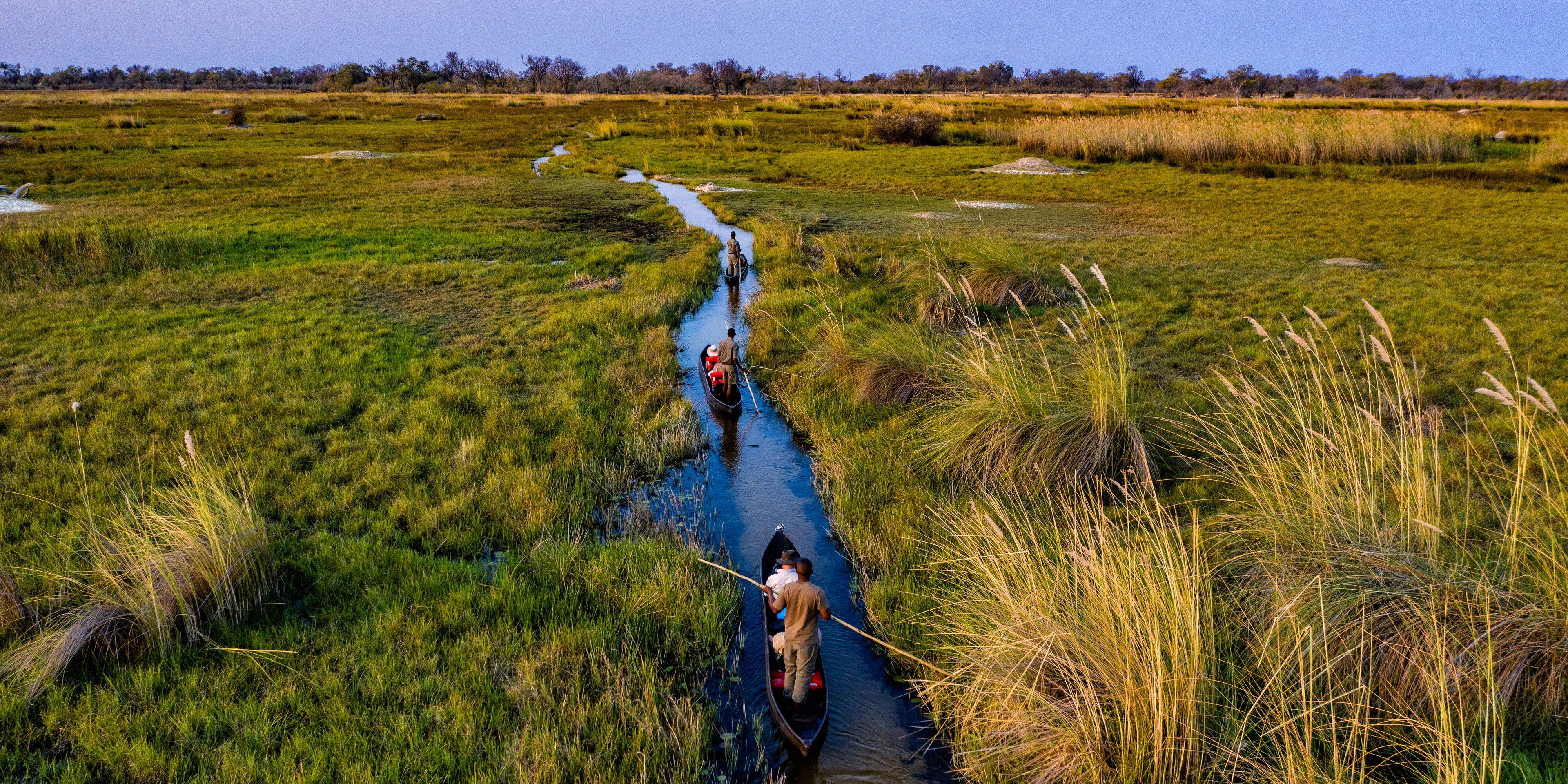 natucate-safari-botswana-abenteuer-camp-little-sable-mokoro