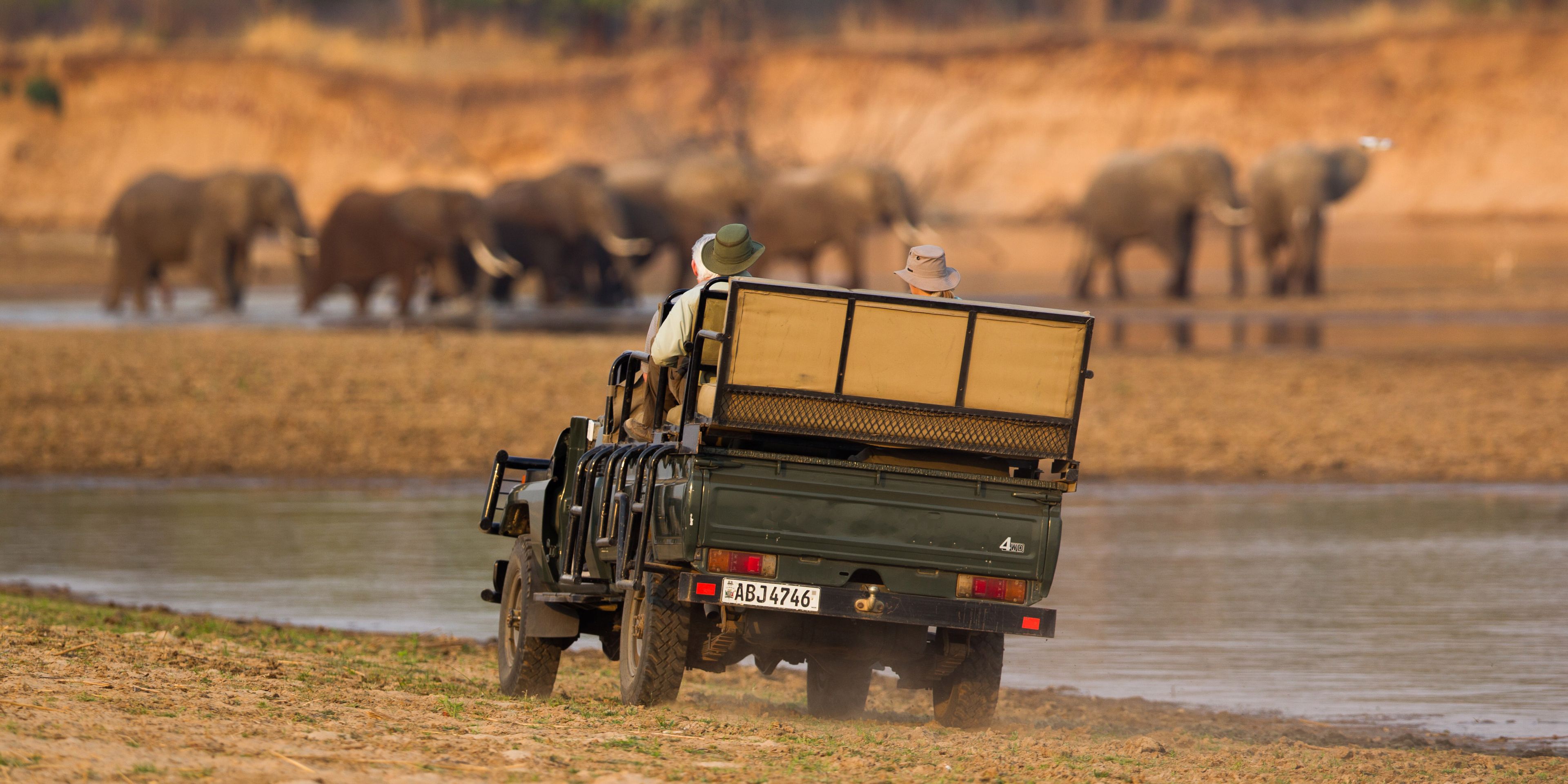 safari-sambia-south-luangwa-lower-zambezi-south-luangwa-game-drive-elefanten-natucate