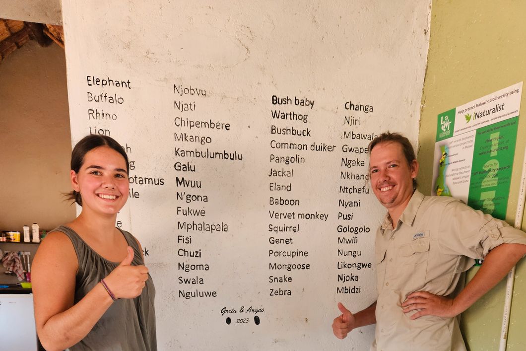 natucate-volunteering-malawi-wildlife-monitoring-volunteers-plan