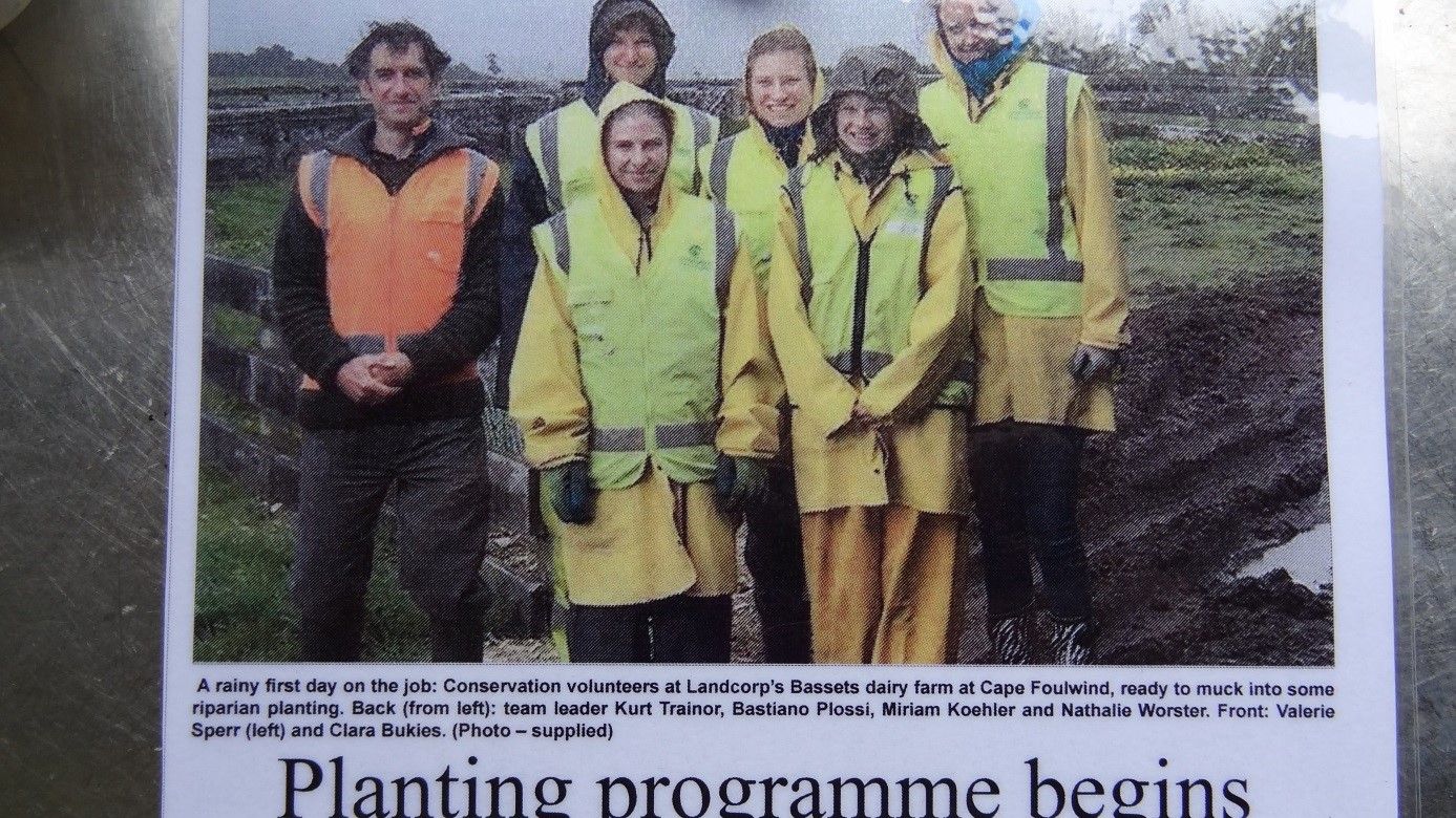 Ein Zeitungsartikel ueber die Bemuehungen und das Projekt der Freiwilligen