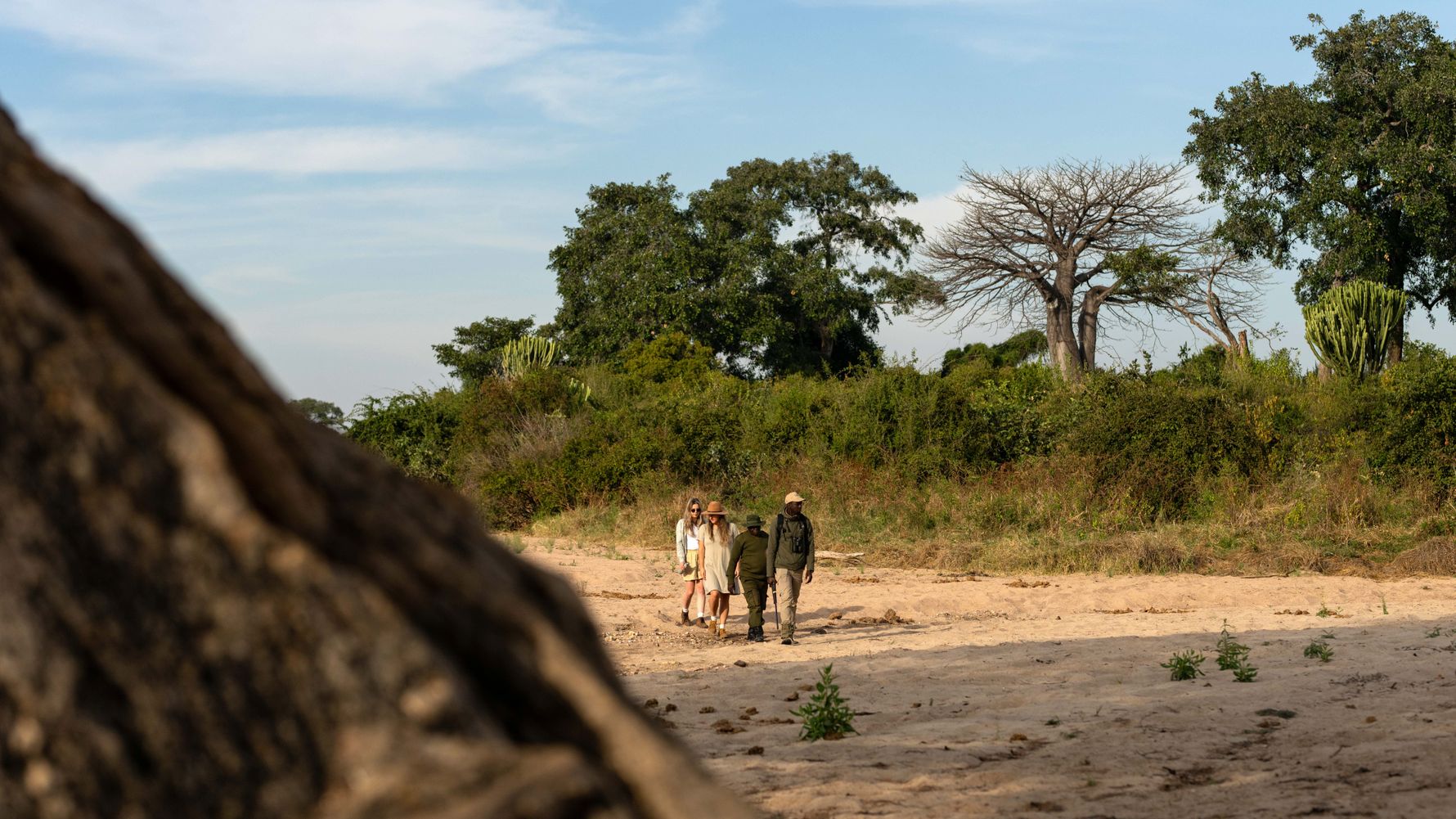 Vier Personen laufen durch Ruaha Nationalpark