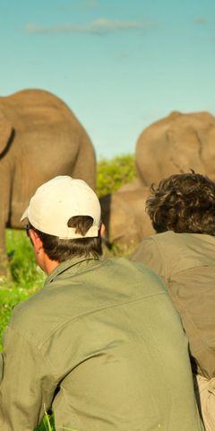 Eine Gruppe von Studenten beobachten eine Elefantenherde beim Grasen im afrikanischen Busch