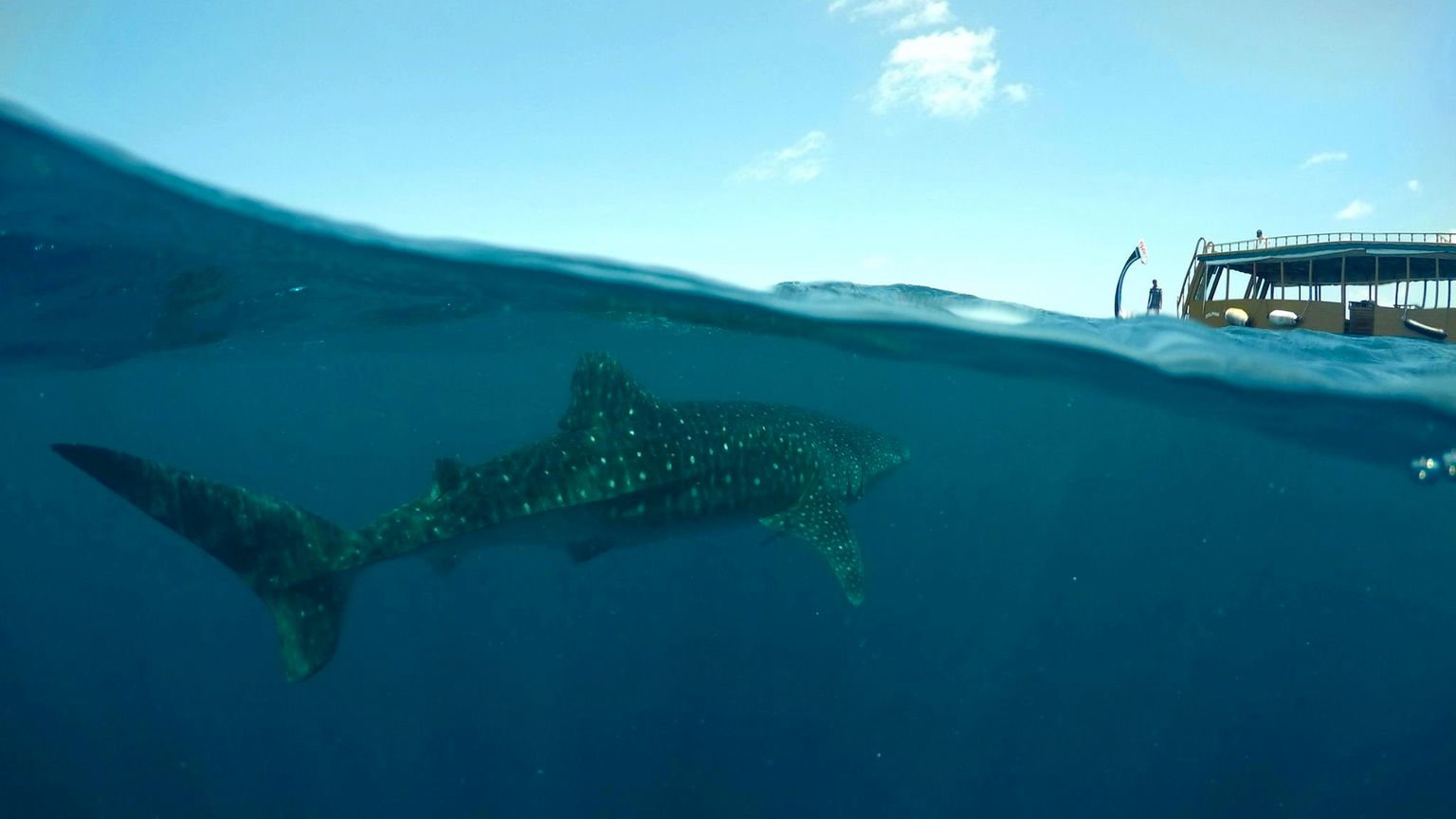 natucate_maldives_review-11