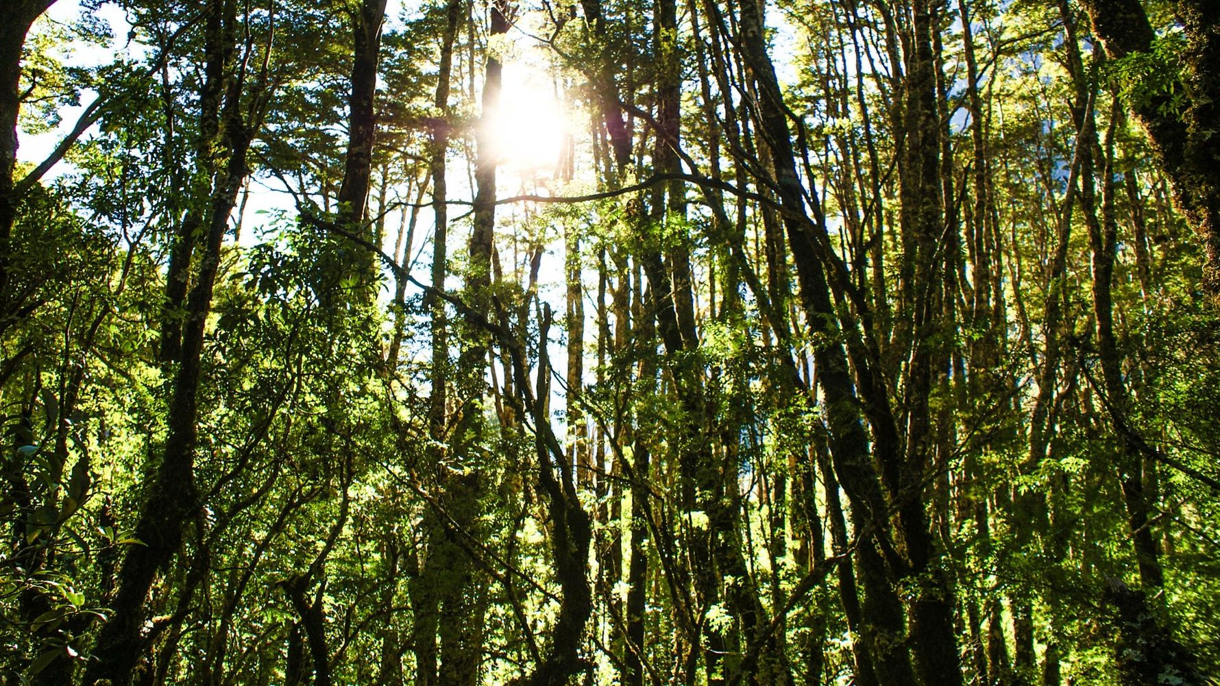 blog-ratgeber-reisetipps-und-wissenswertes-lea-natucate