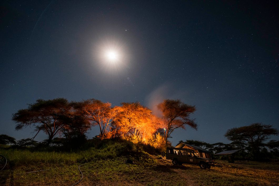 natur-und-rangerkurs-tansania-afrika-safariguide-night-serengeti-natucate