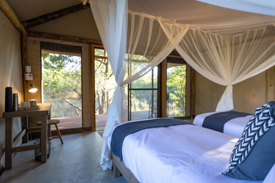 natucate-nature-travel-animal-tracking-expedition-selati-campi