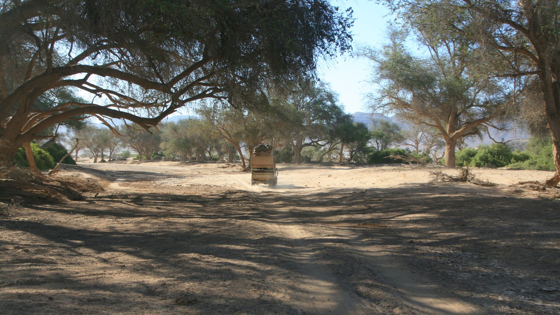 erfahrungsbericht-freiwilligenarbeit-namibia-elefantenschutz-jonas-game-drive-natucate