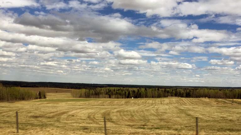 erfahrungsbericht-freiwilligenarbeit-kanada-alberta-pferdeschutz-anna-wiese-natucate