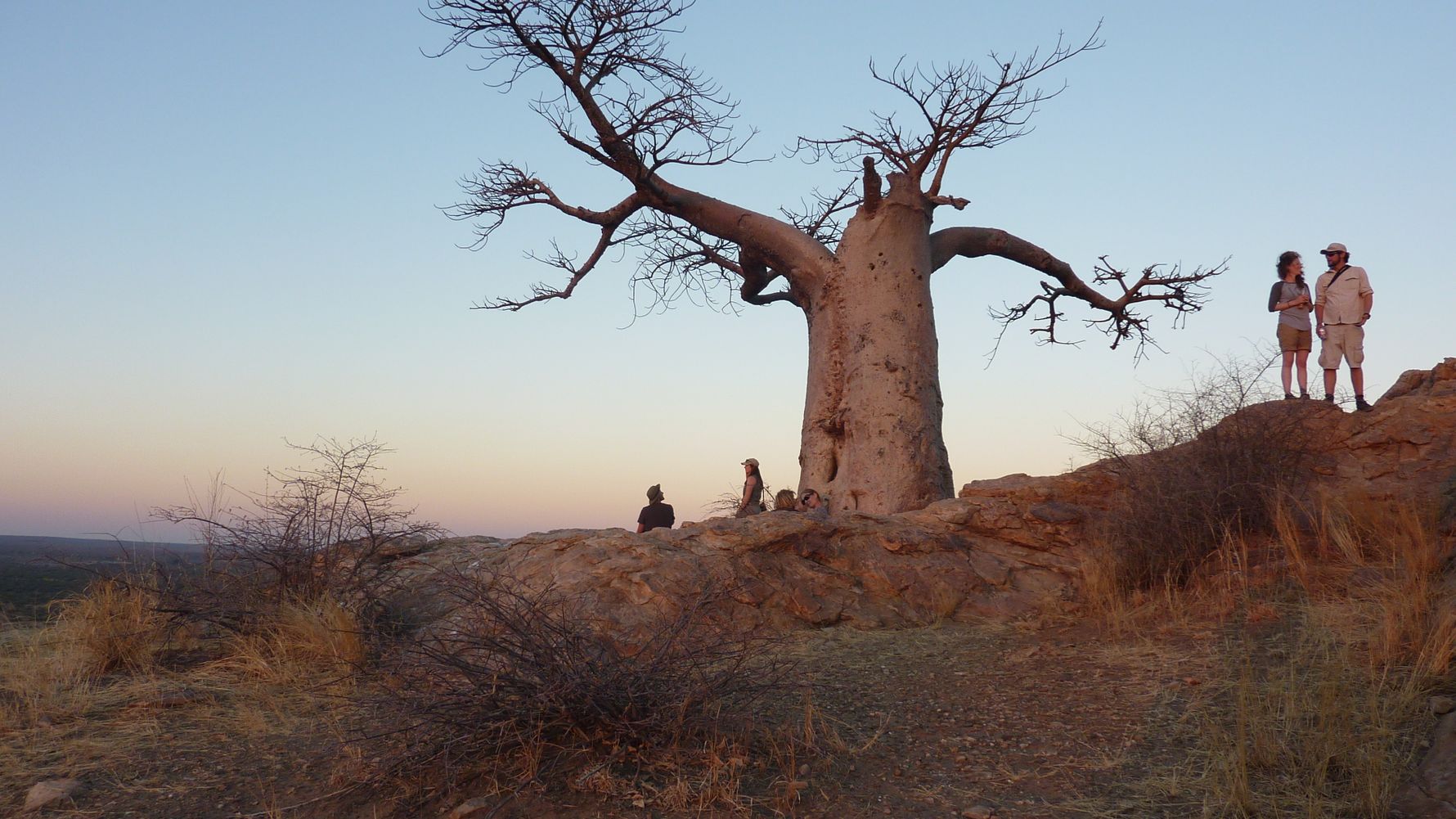 erfahrungsberichte-naturreise-afrika-private-wilderness-experience-lara-bobab-sonnenunterrgnag-natucate