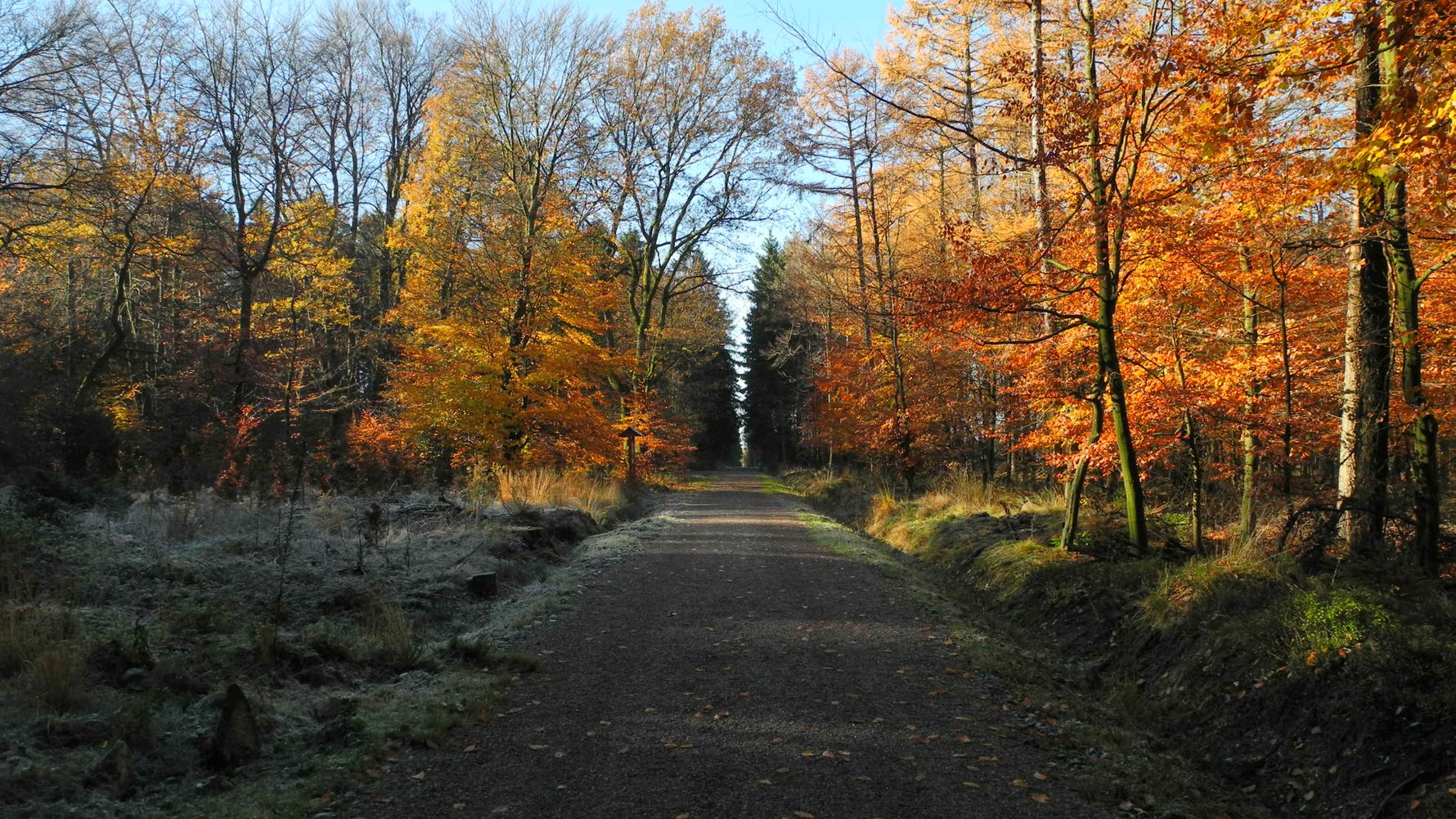 laenderinformationen-deutschland-herbst-natucate