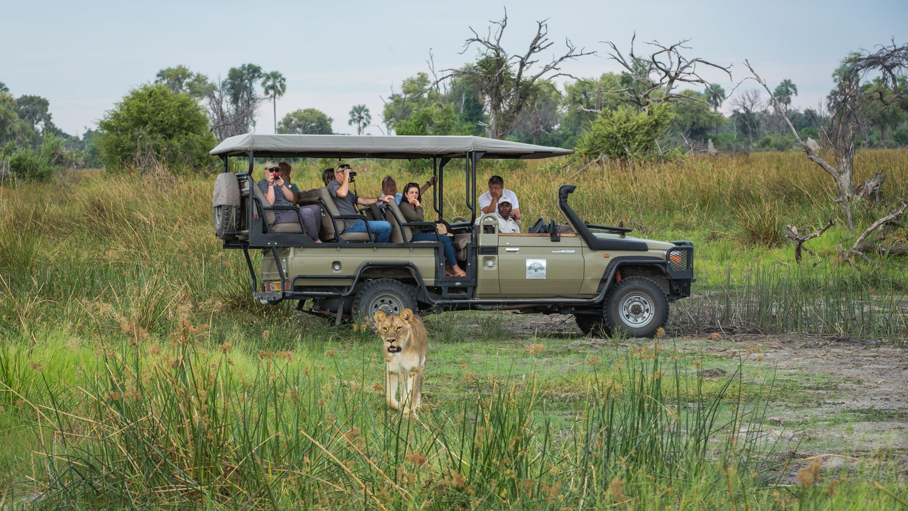 blog-ratgeber-botswana-gomoti-plains-hotel-gamedrive-loewe-natucate