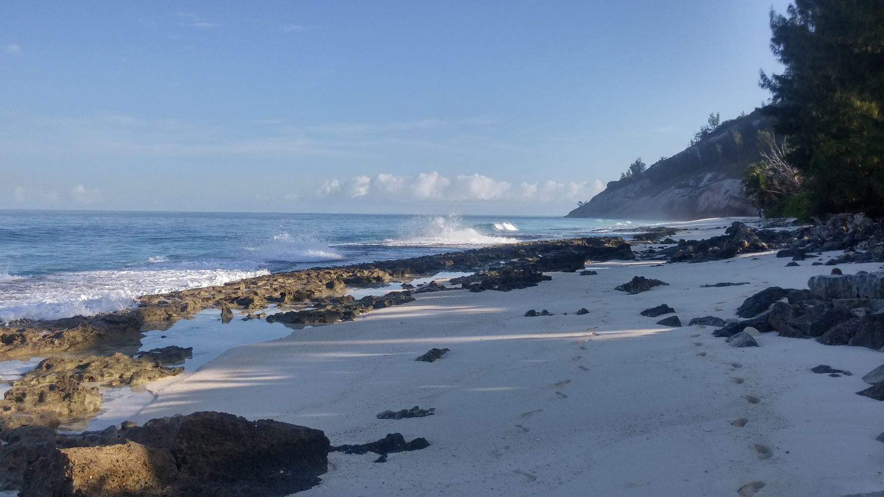 freiwilligenarbeit-seychellen-strand-erfahrungsbericht-artenschutz-natucate