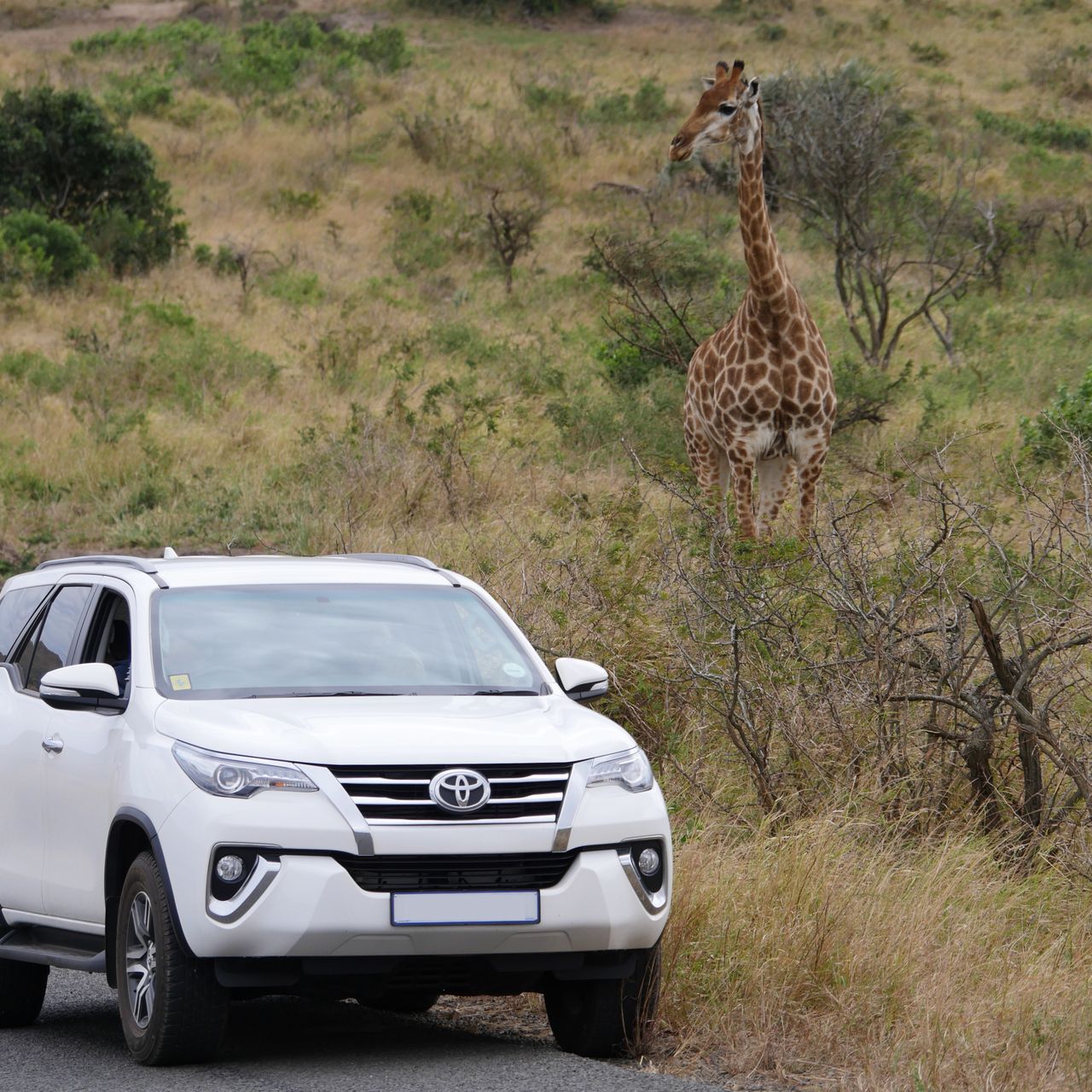 Freiwillige Helfer bei einem Sleep Out im suedlichen Afrika