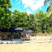 erfahrungsberichte-freiwilligenarbeit-costa-rica-schildkroetenschutz-stefanie-strand-regenwald-natucate