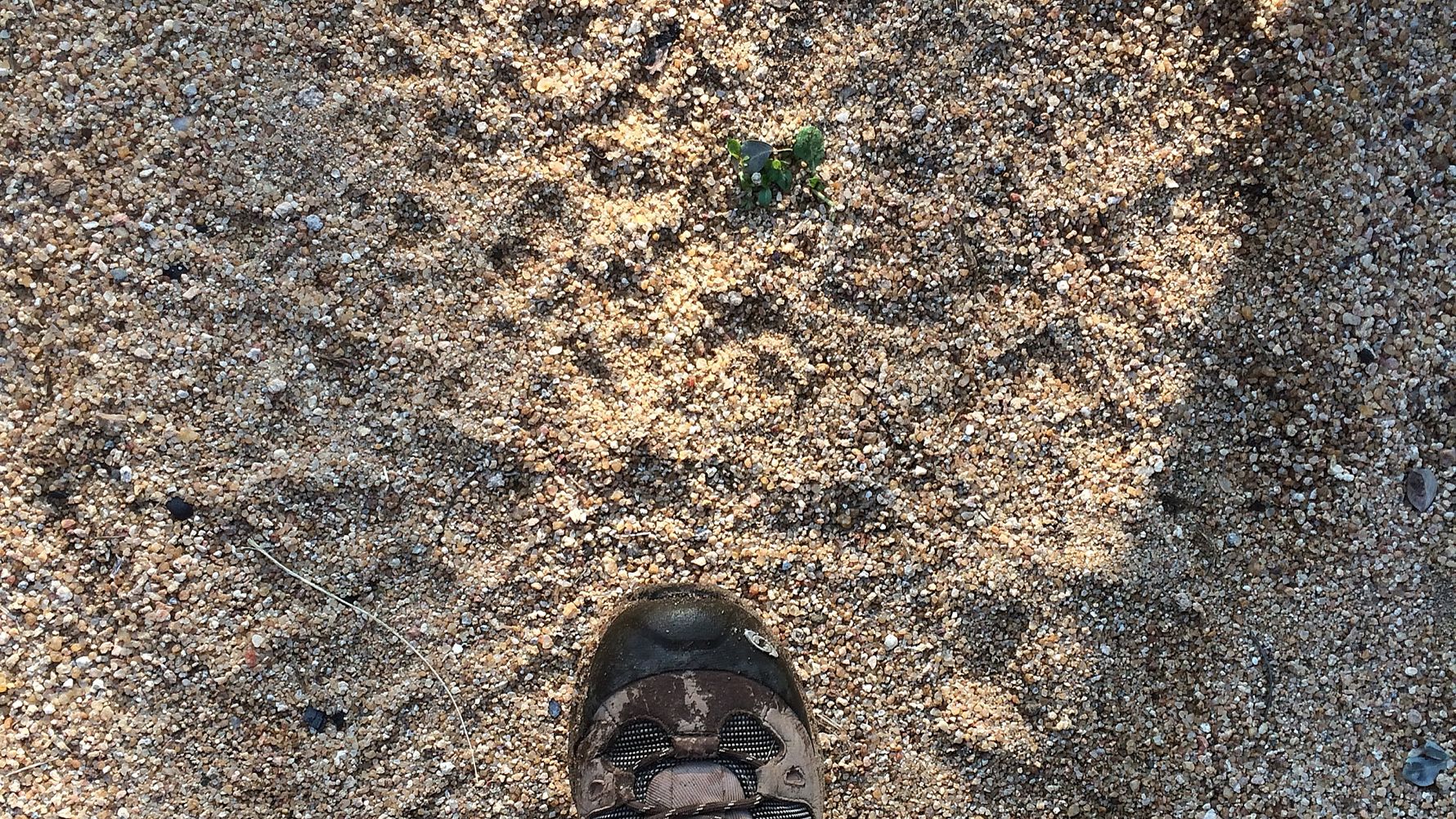 erfahrungsberichte-suedliches-afrika-pfg-rangerausbildung-kundenfotos-spuren-natucate