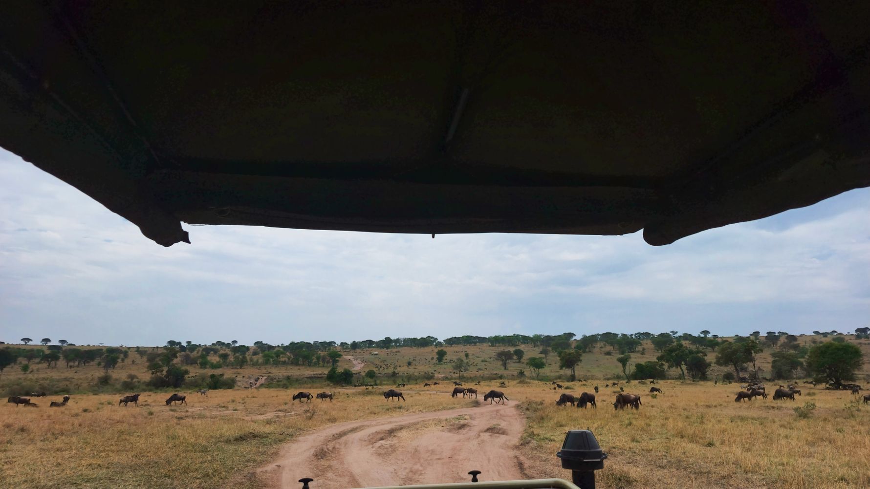 Lanschaft Serengeti