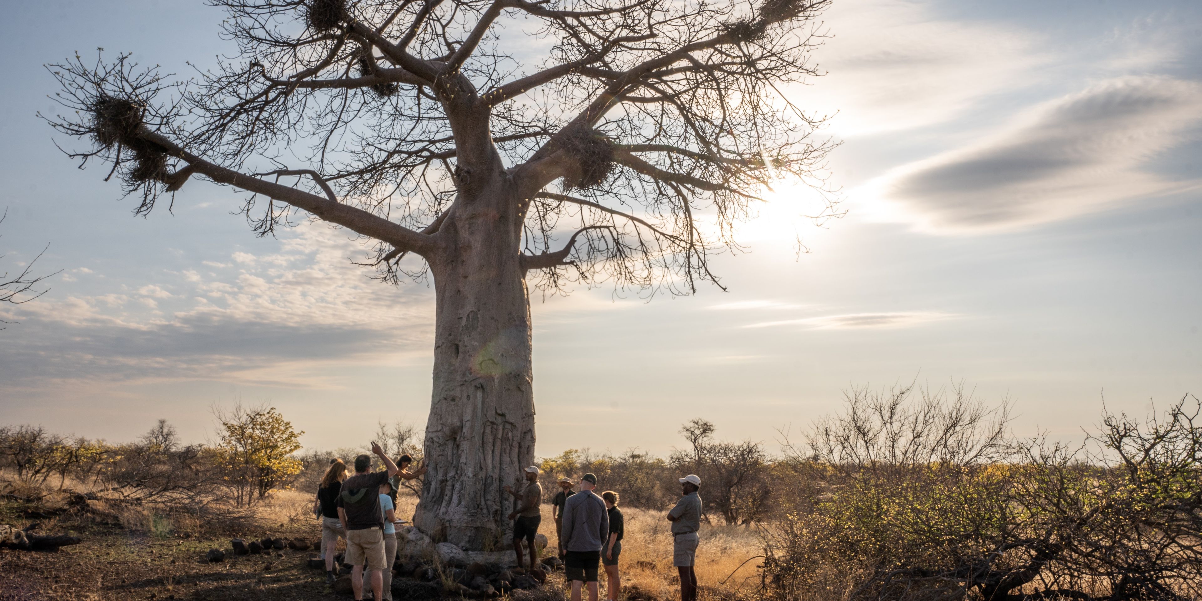 natucate-guide-course-south-africa-et-svenja-students-baobab