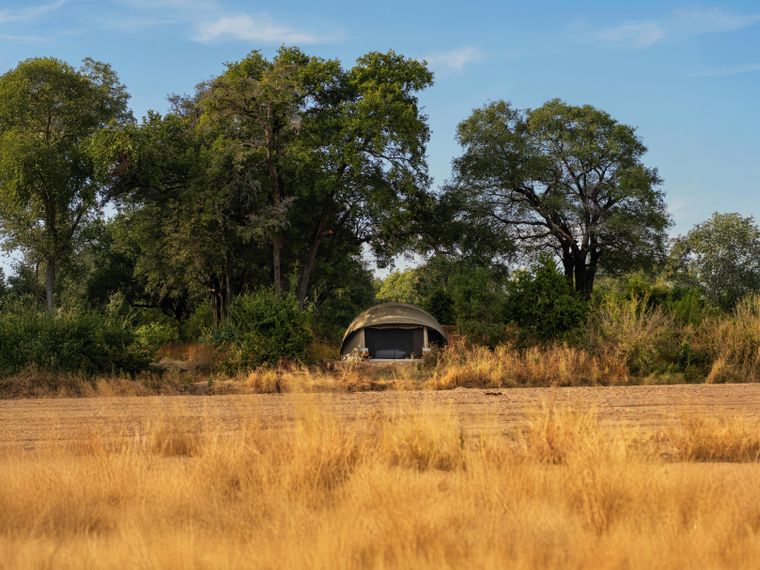 pwe-tanzania-kokoko-nature
