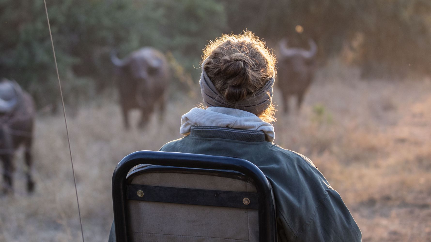 blog-ratgeber-fuenf-gruende-safari-botswana-game-drive-natucate