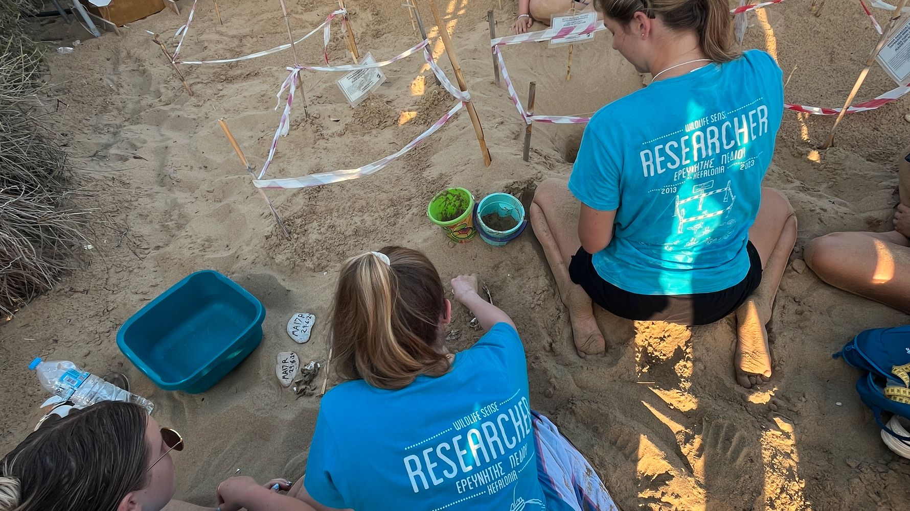 Schildkrötenschutzmaßnahmen