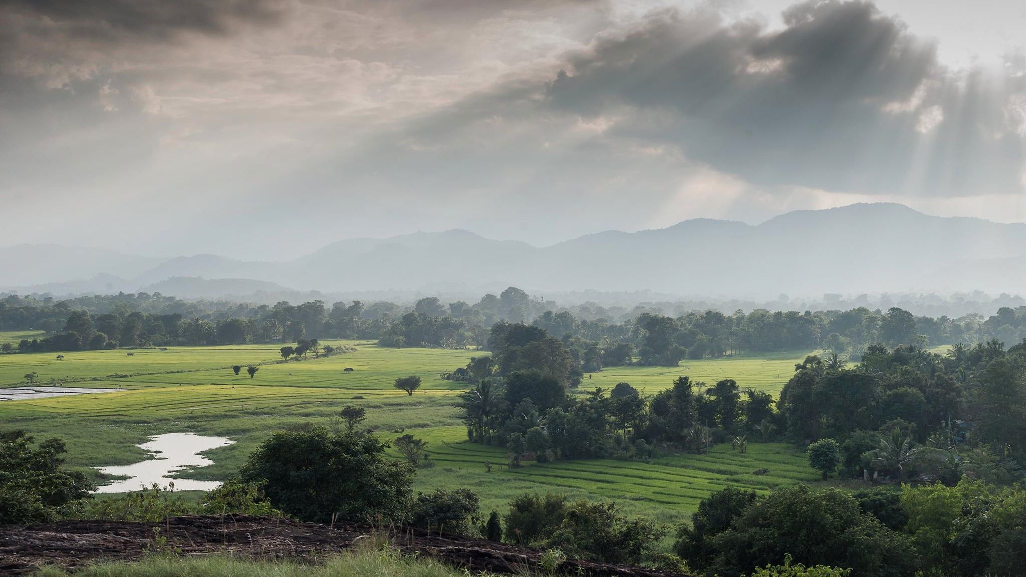 Die Sonne durchbricht die Wolken und versetzt die Naturlandschaften Sri Lankas in warmen Glanz.