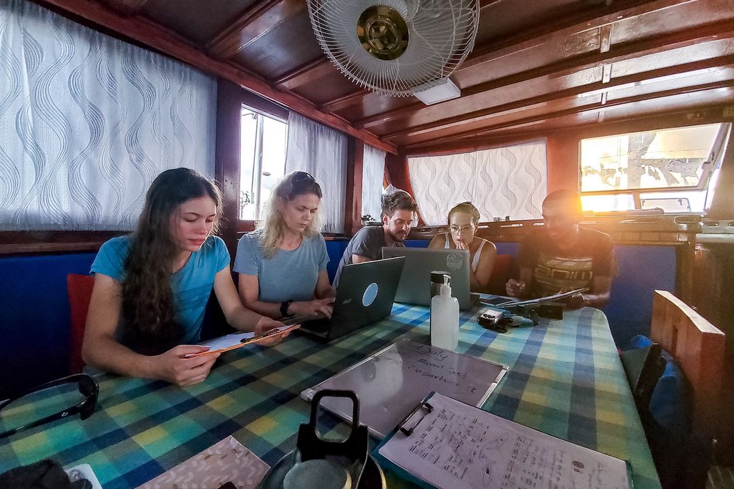 freiwilligenarbeit-malediven-asien-walhaischutz-dateneingabe-natucate