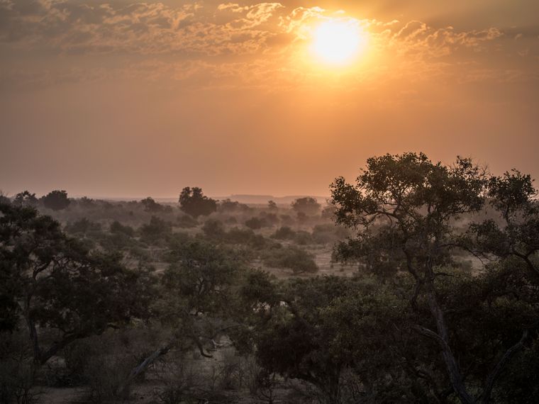 erfahrungsberichte-naturreise-afrika-private-wilderness-experience-matthias-sonnenuntergang-nebel-baeume-natucate