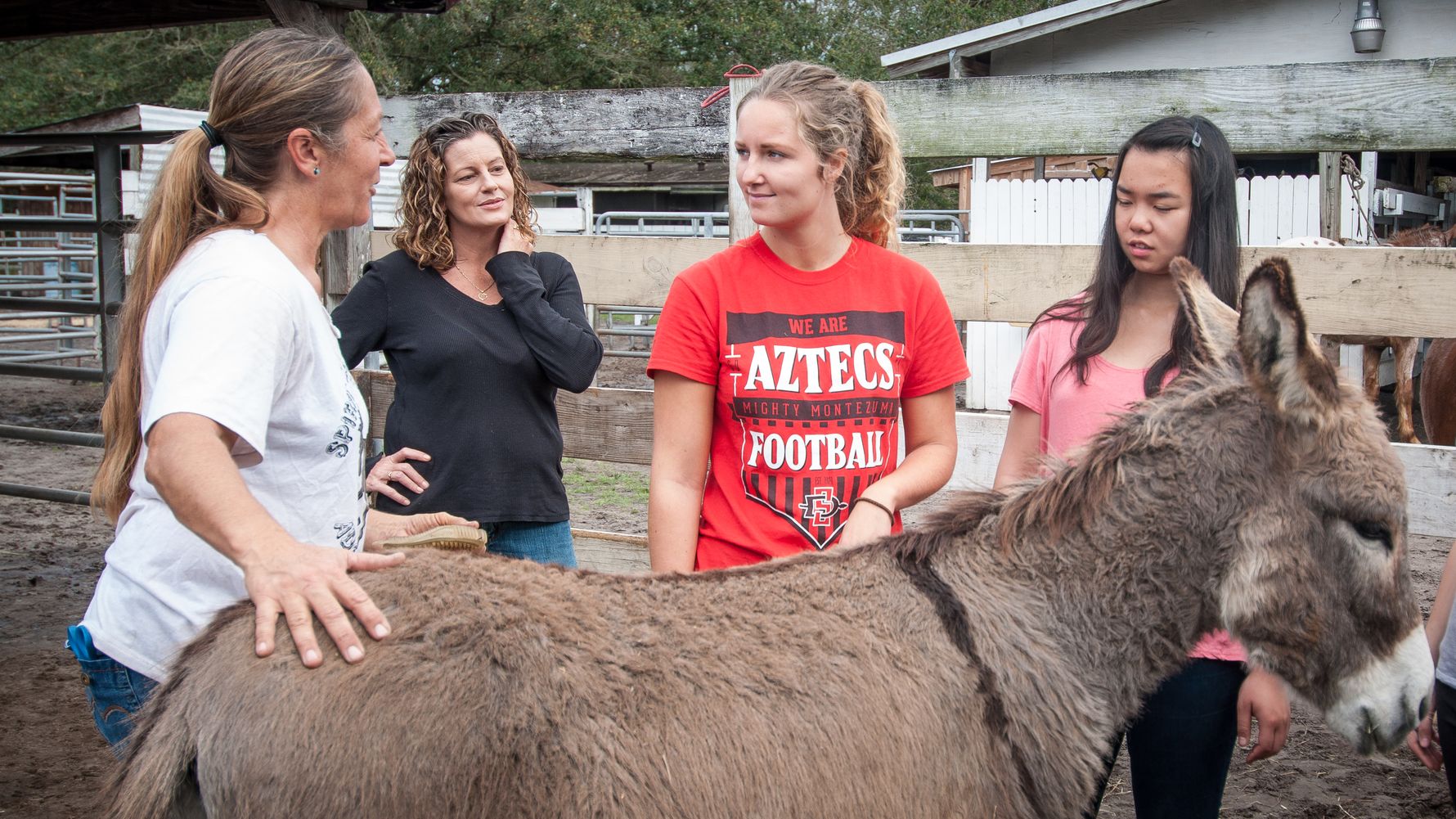 Animal welfare volunteer in the USA: voluntary worker and a donkey on the grounds of an animal shelter in Florida