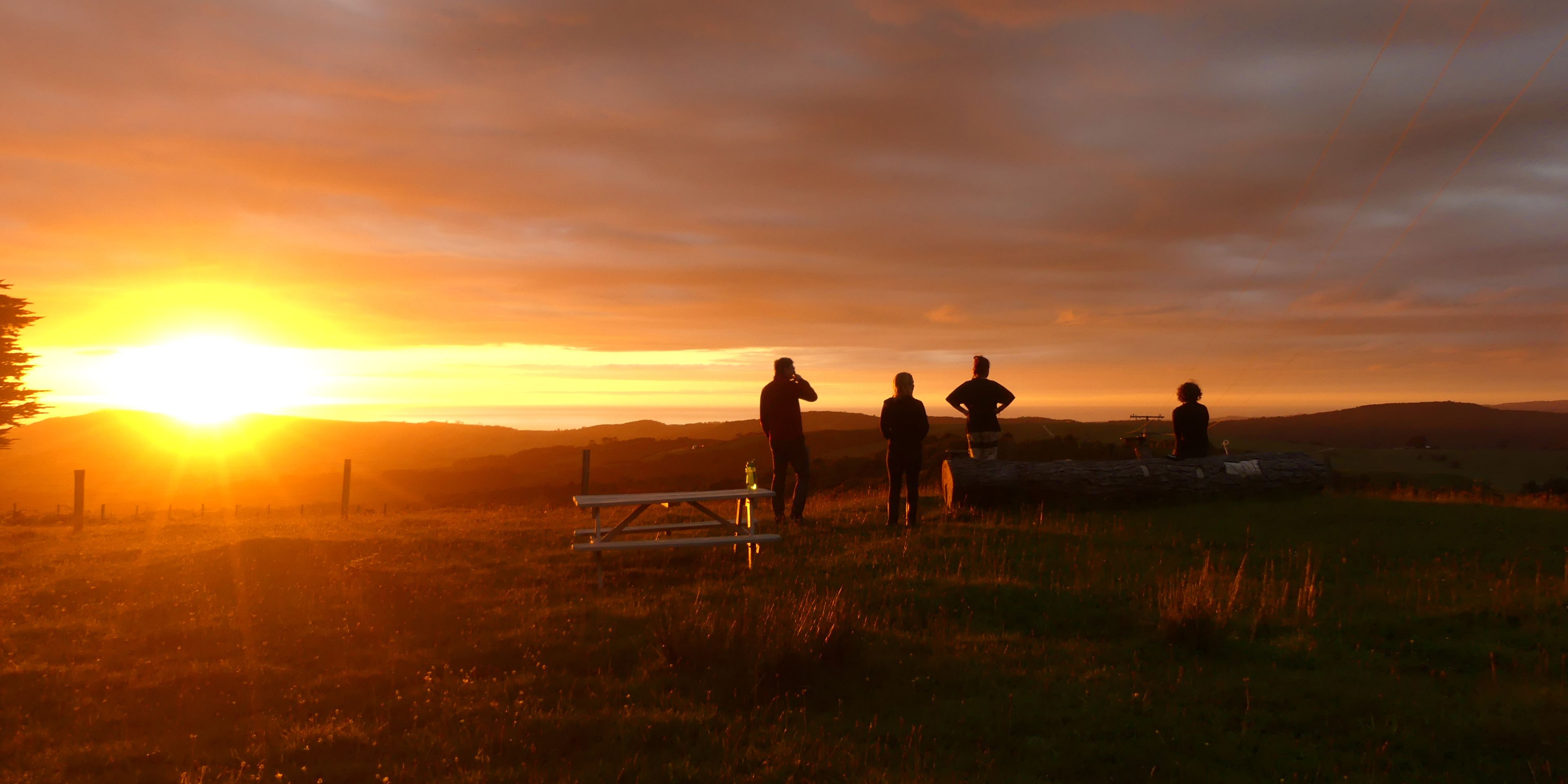 Freiwillige unseres Naturschutzprojekts an Neuseelands Kauri Coast geniessen einen farbenpraechtigen Sonnenuntergang