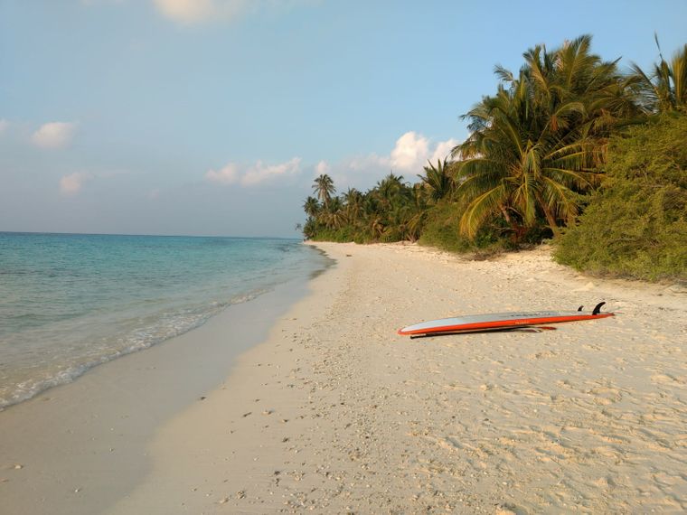 erfahrungsberichte-freiwilligenarbeit-malediven-walhaischutz-martina-strand-meer-natucate