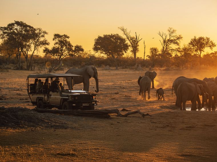 Game Drive im Okavango Delta mit Elefanten