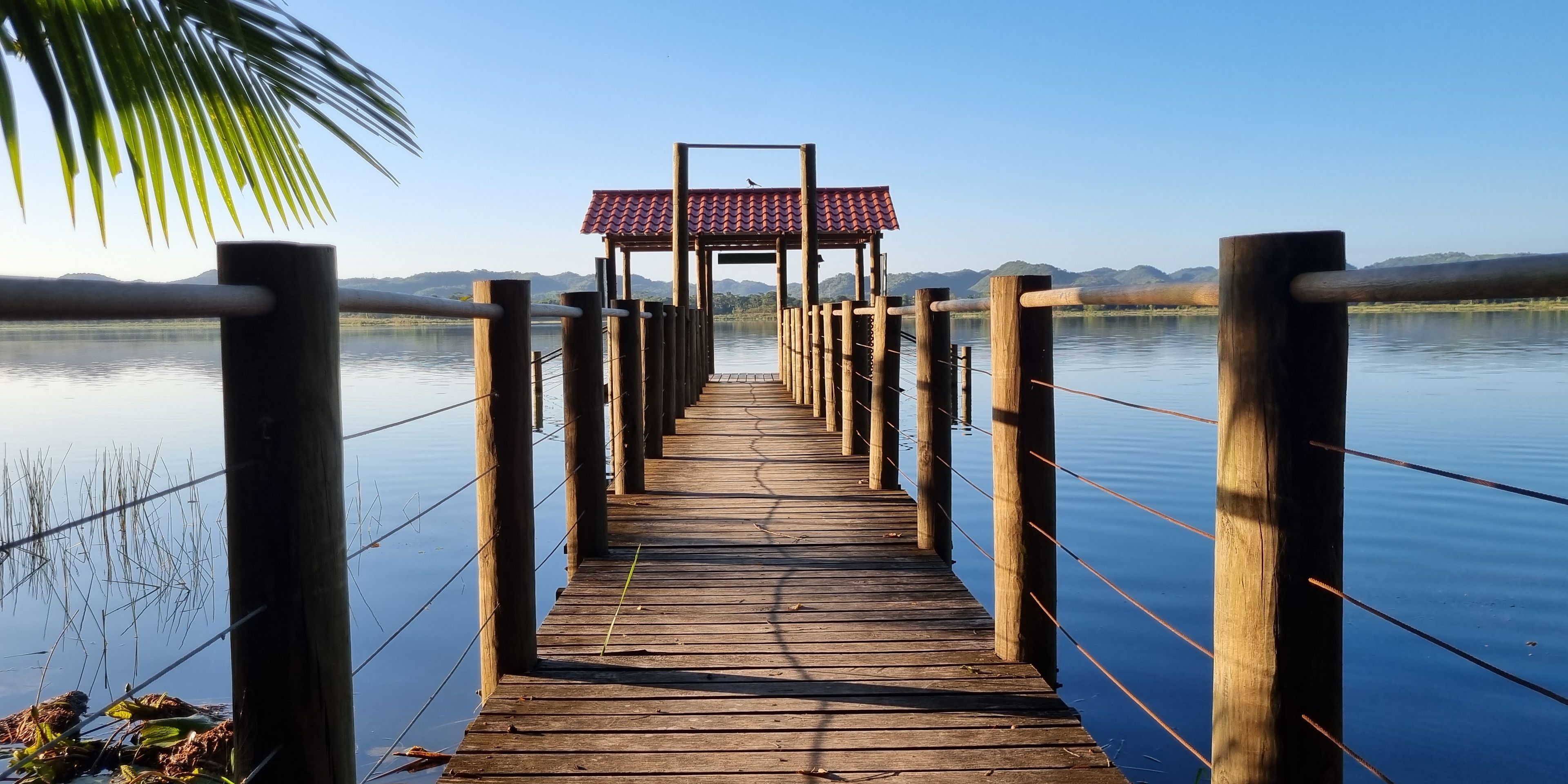 reisen-freiwilligendienst-guatemala-wildtierschutz-atitlan-see