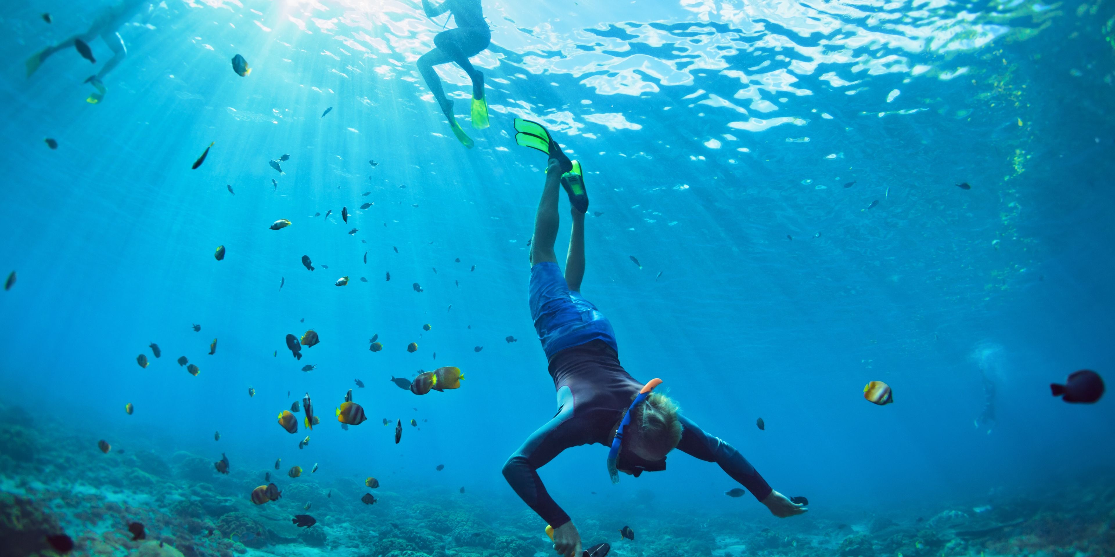 Taucher unterwasser mit Fischen