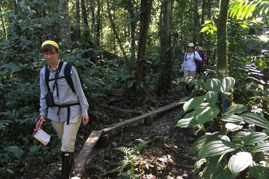 Ein Student steht auf einer Haengebruecke und fotografiert das Dickicht des Regenwaldes waehrend einer Rangerfuehrung