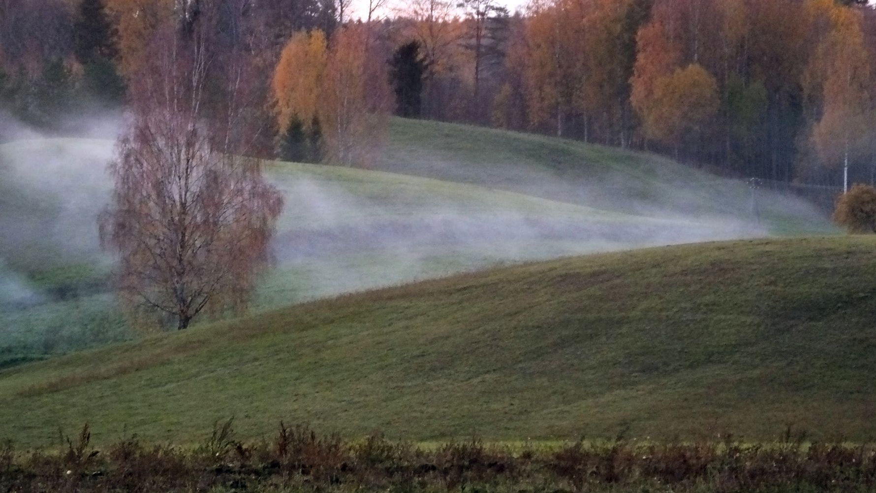 Hilly meadows and forested areas in Estonia's Karula National Park