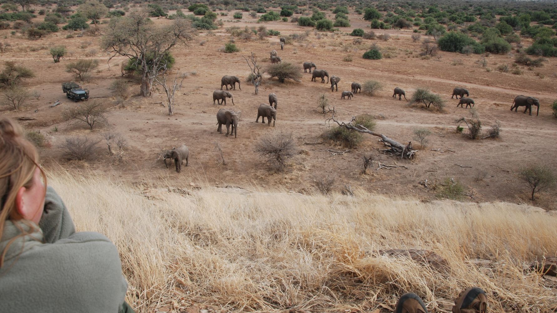 blog-sabbatjahr-in-der-wildnis-afrikas-elefanten-natucate