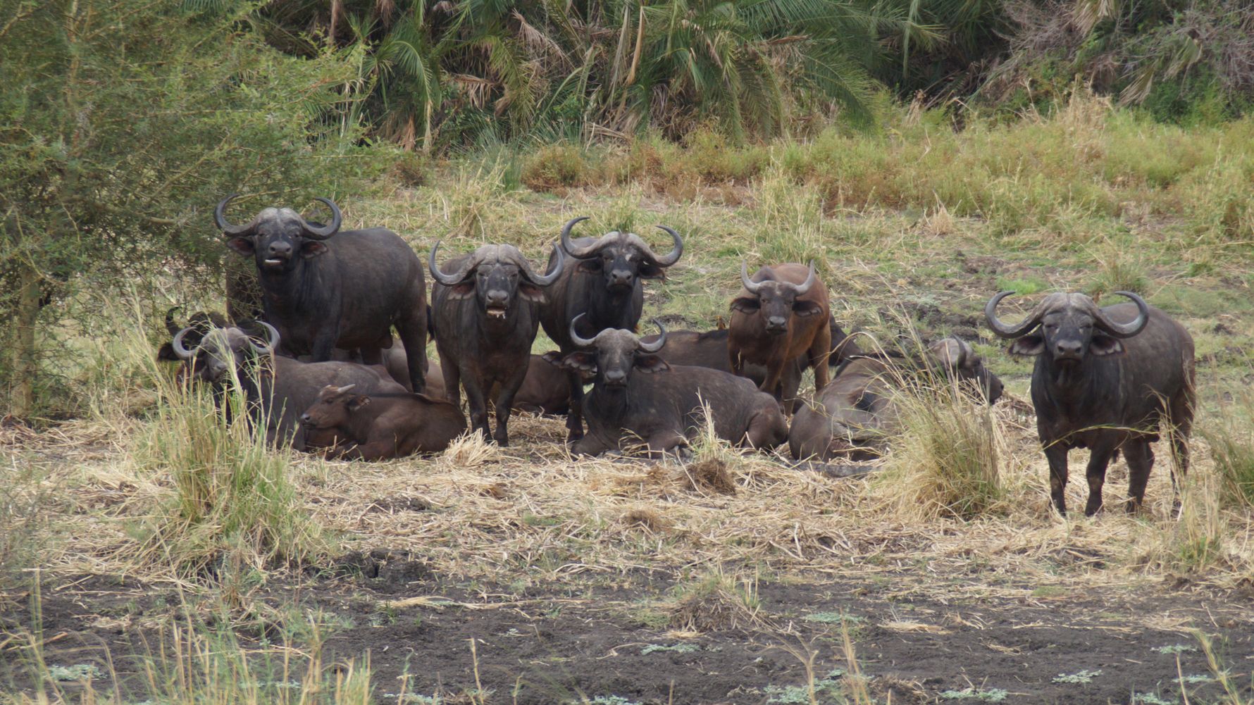 erfahrungsbericht-ecoquest-suedafrika-corinna-bueffel-natucate