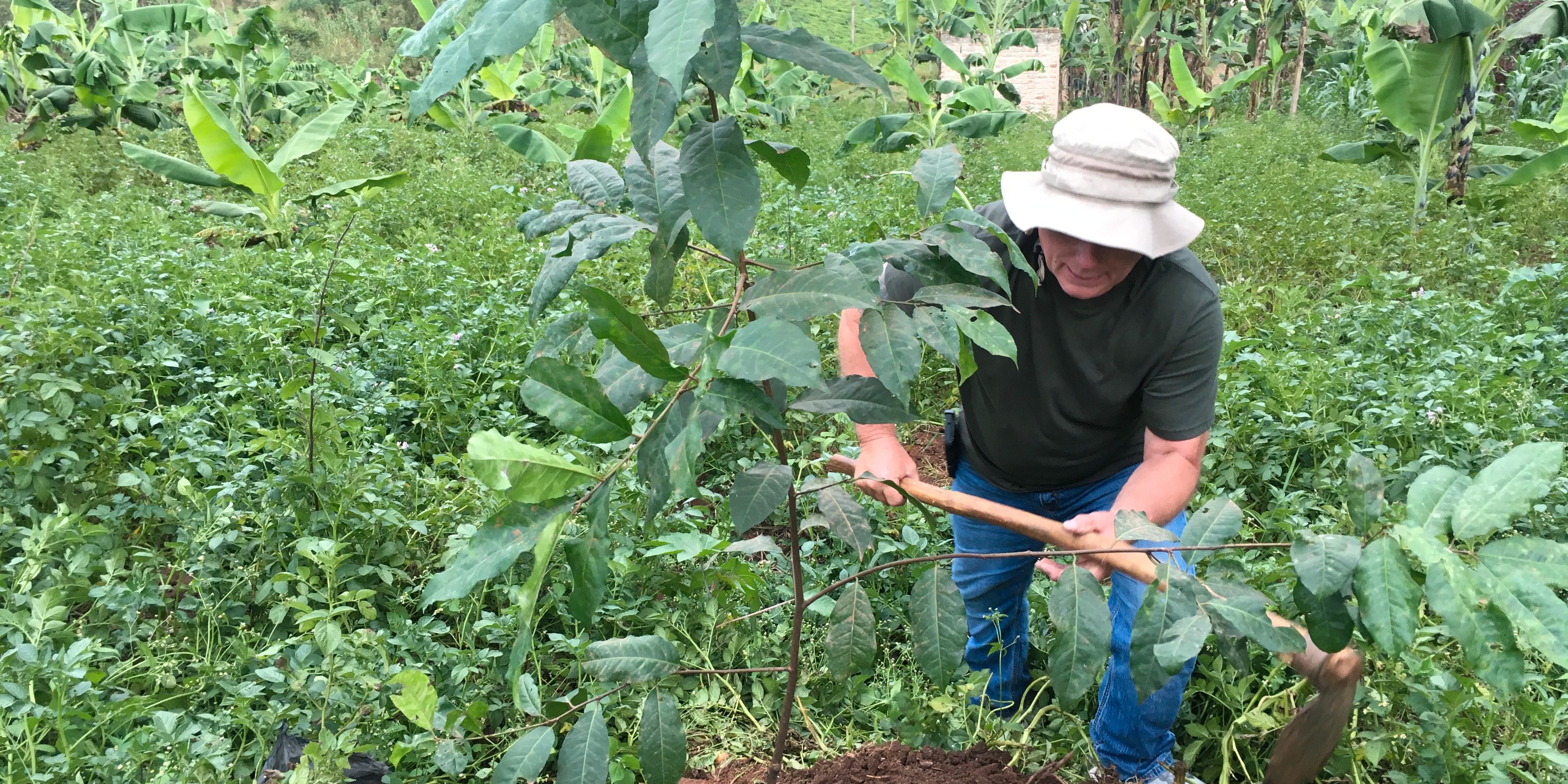 freiwilligenarbeit-uganda-aufforstung
