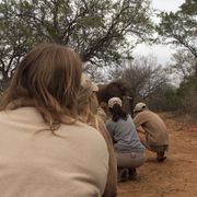 erfahrungsberichte-suedliches-afrika-pfg-rangerausbildung-elefant-natucate